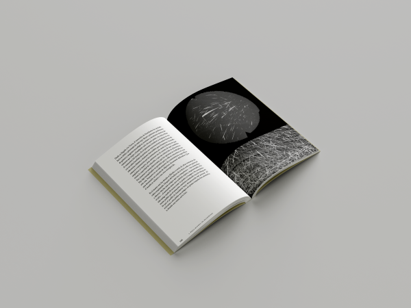 Los meteoritos · Ediciones Menguantes